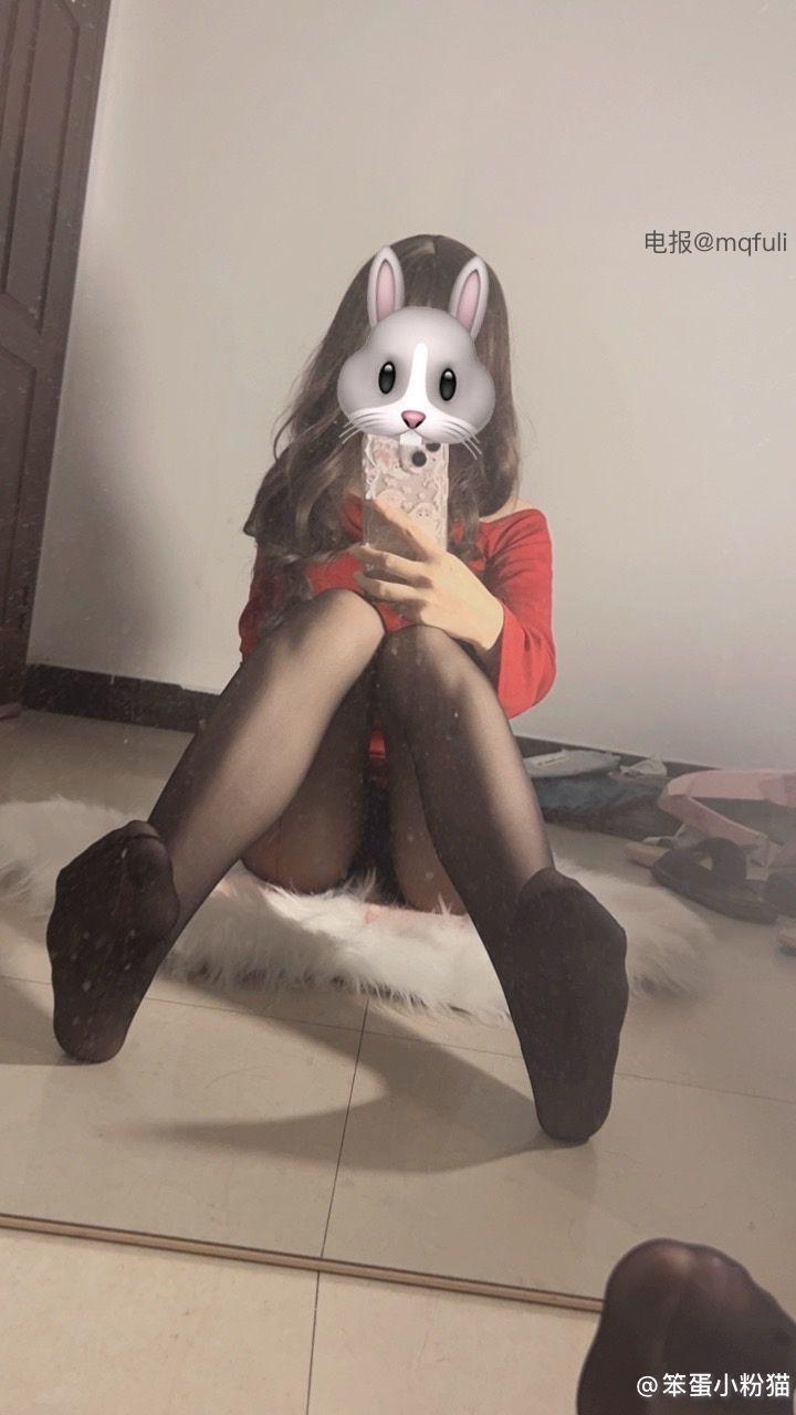 图片[2]-抖音 笨蛋小粉猫–作品资源合集-图欢社