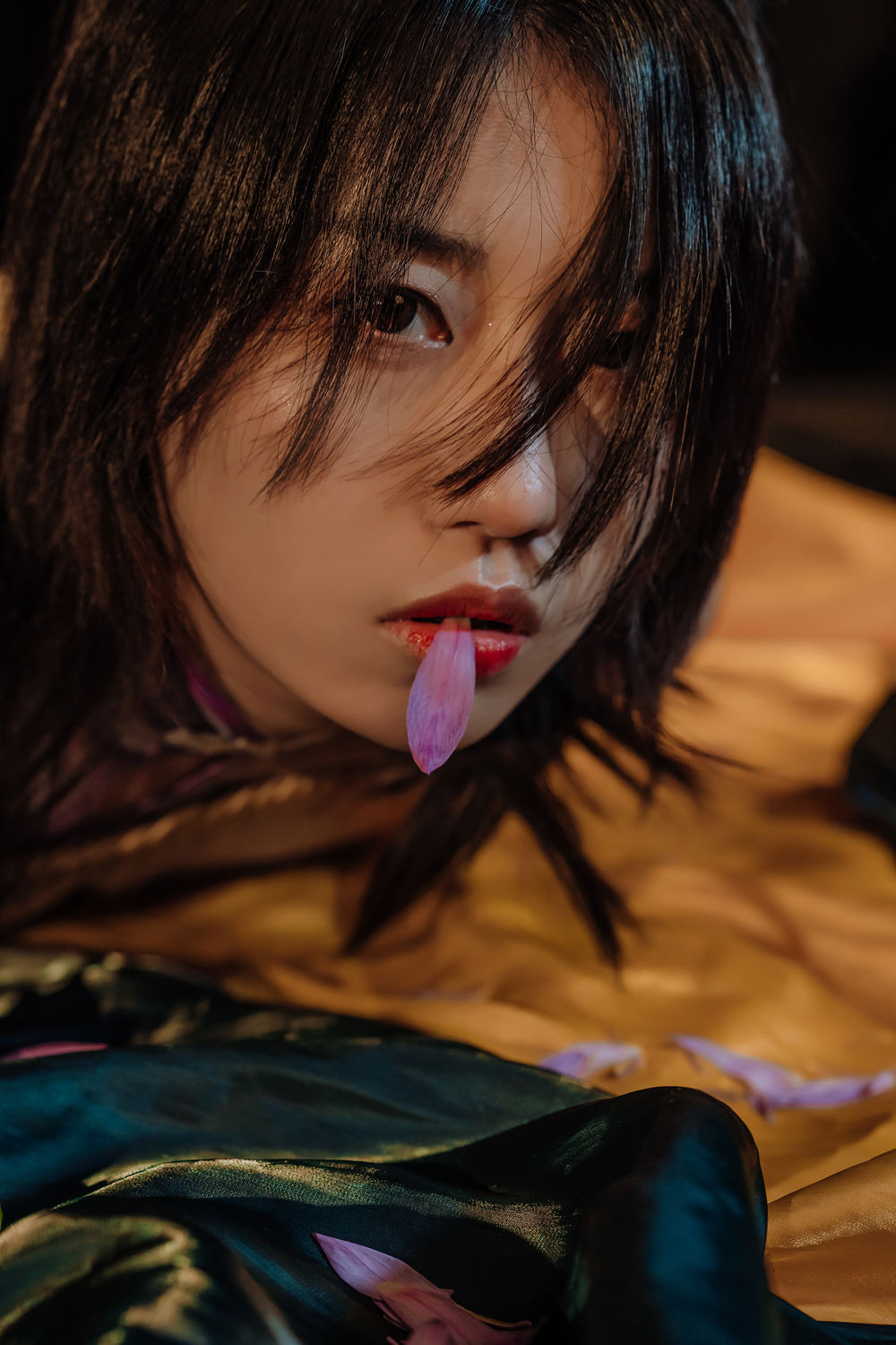 云溪溪-写真作品合集资源下载 130套丨119.13G-图欢社